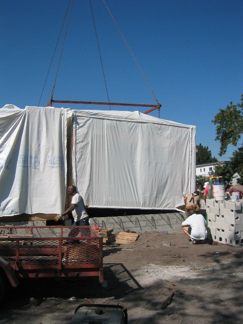 IMG_1310.jpgw480h640