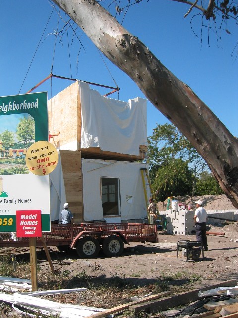 IMG_1347.jpgw480h640