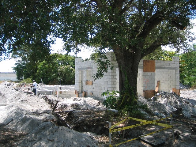 IMG_2315.jpgw640h480